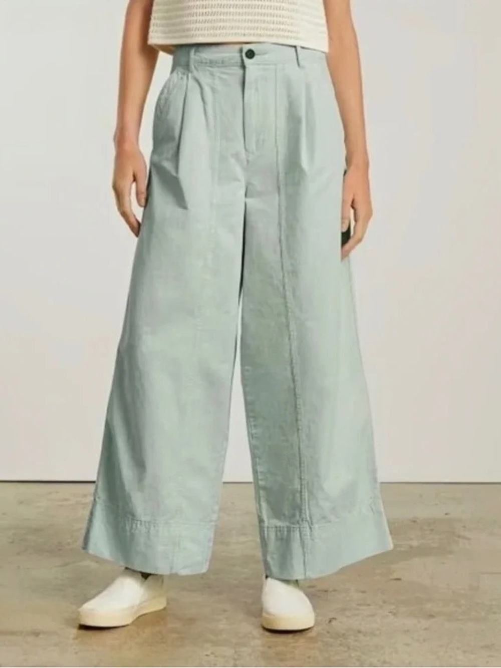 Everlane Women's Wide-Leg Tourist Pant in Mint